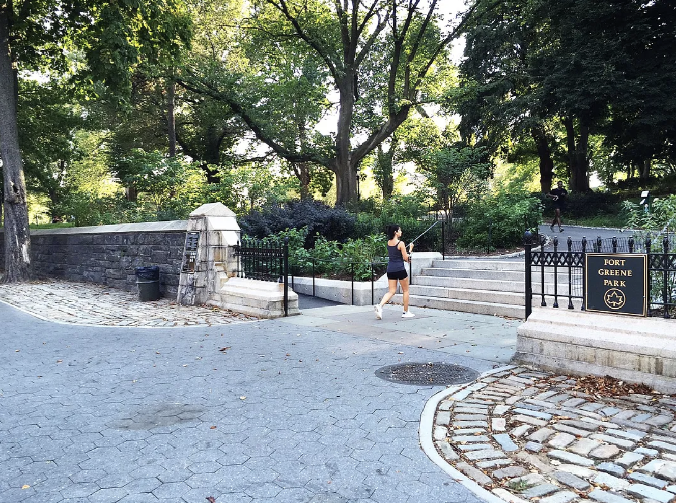 397 Clermont Avenue, Unit 3R Brooklyn, NY 11238 - Photo 8 of 8 a view of a yard with plants and trees