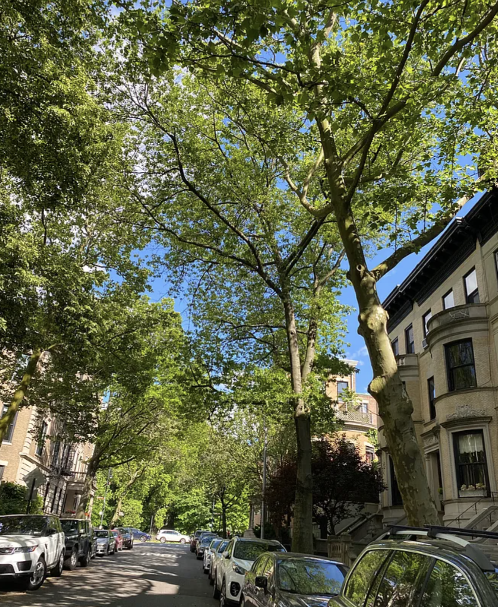 567 6th Street, Unit 10 Brooklyn, NY 11215 - Photo 10 of 14 a picture of street view