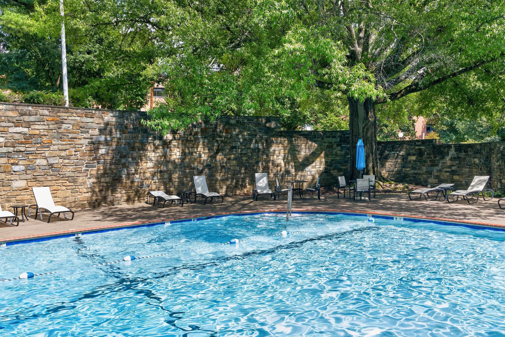 4000 Tunlaw Road Northwest, Unit 1108 Washington, DC 20007 - Photo 8 of 25 Gallery Image 8