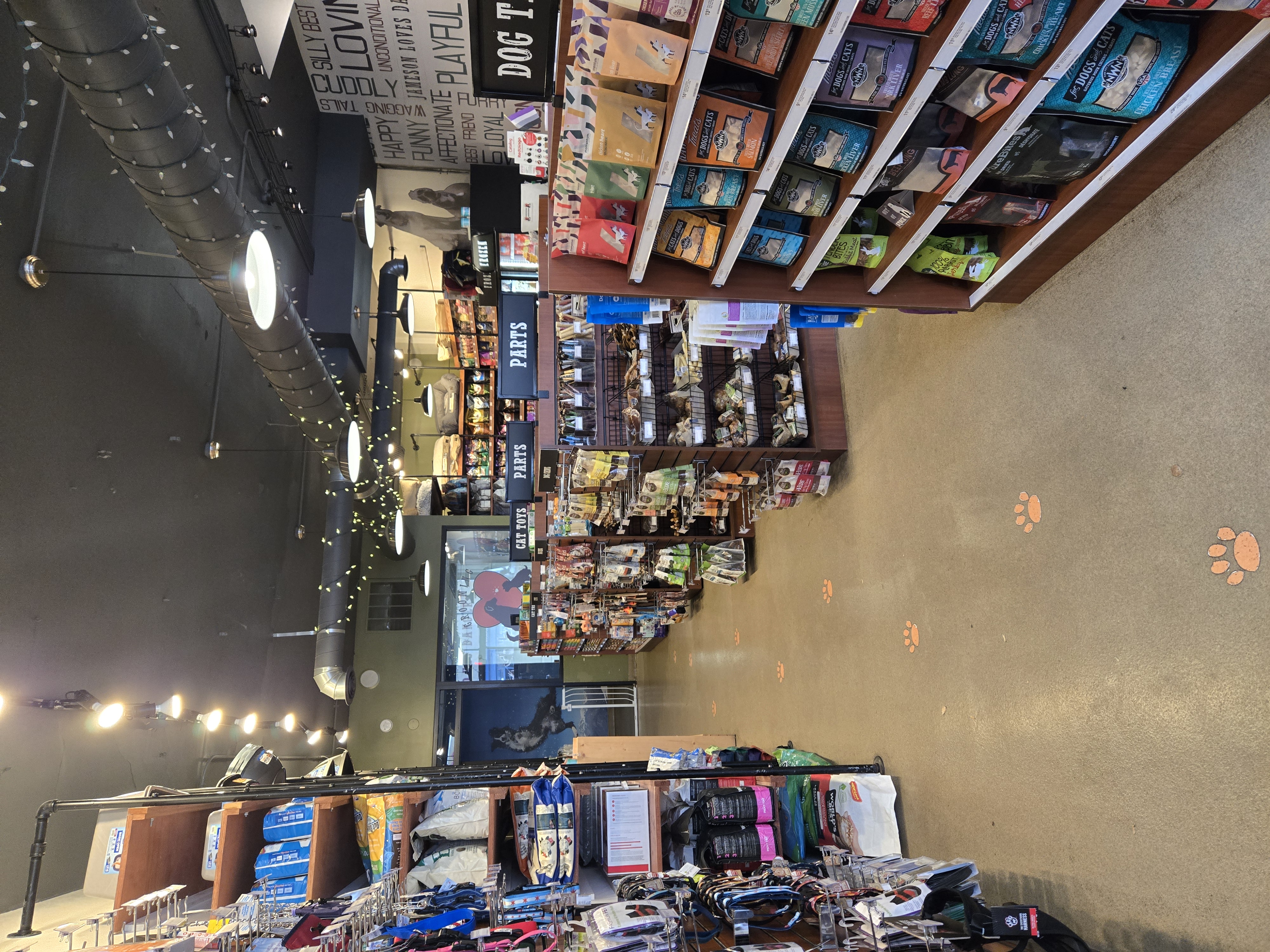 5208 North Clark Street, Unit COMMERCIAL Chicago, IL 60640 - Photo 4 of 8