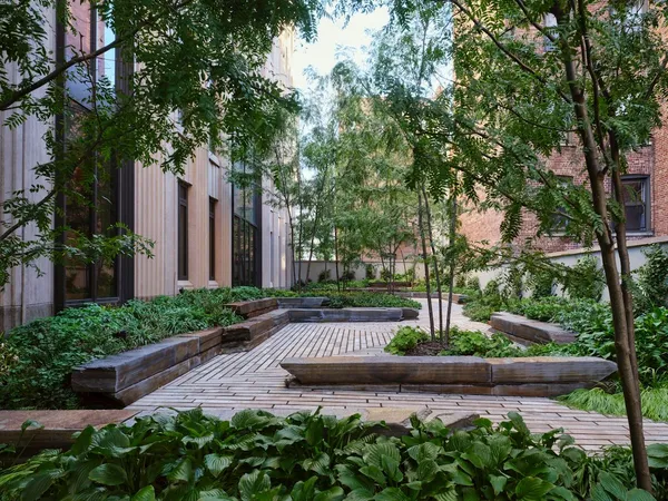 a view of a garden with flower plants