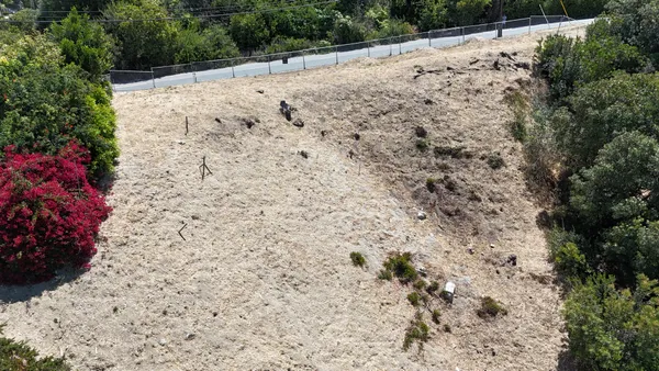 a view of a dry yard with trees