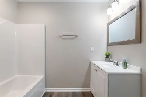 a bathroom with a bathtub sink and mirror