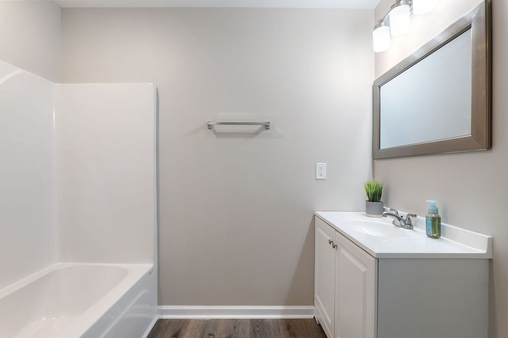 320 Adams Avenue Batesburg, SC 29006 - Photo 15 of 28 a bathroom with a bathtub sink and mirror
