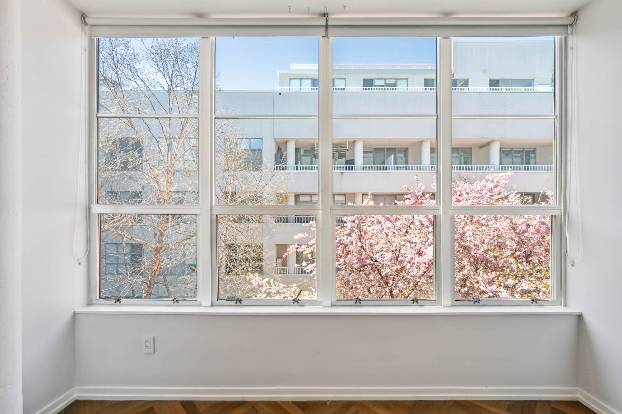 a view of a potted plant on a window