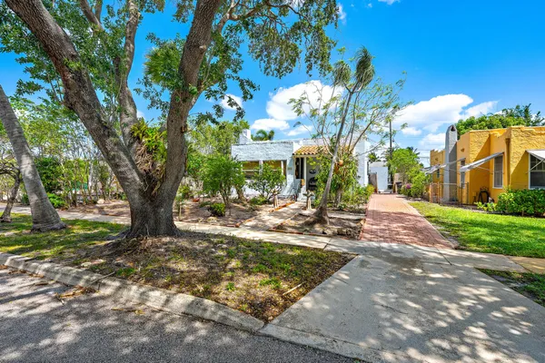 a view of a yard with plants and trees