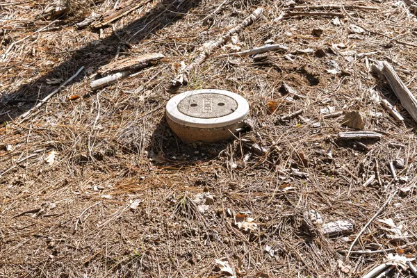 a view of a backyard of a house with a fountain
