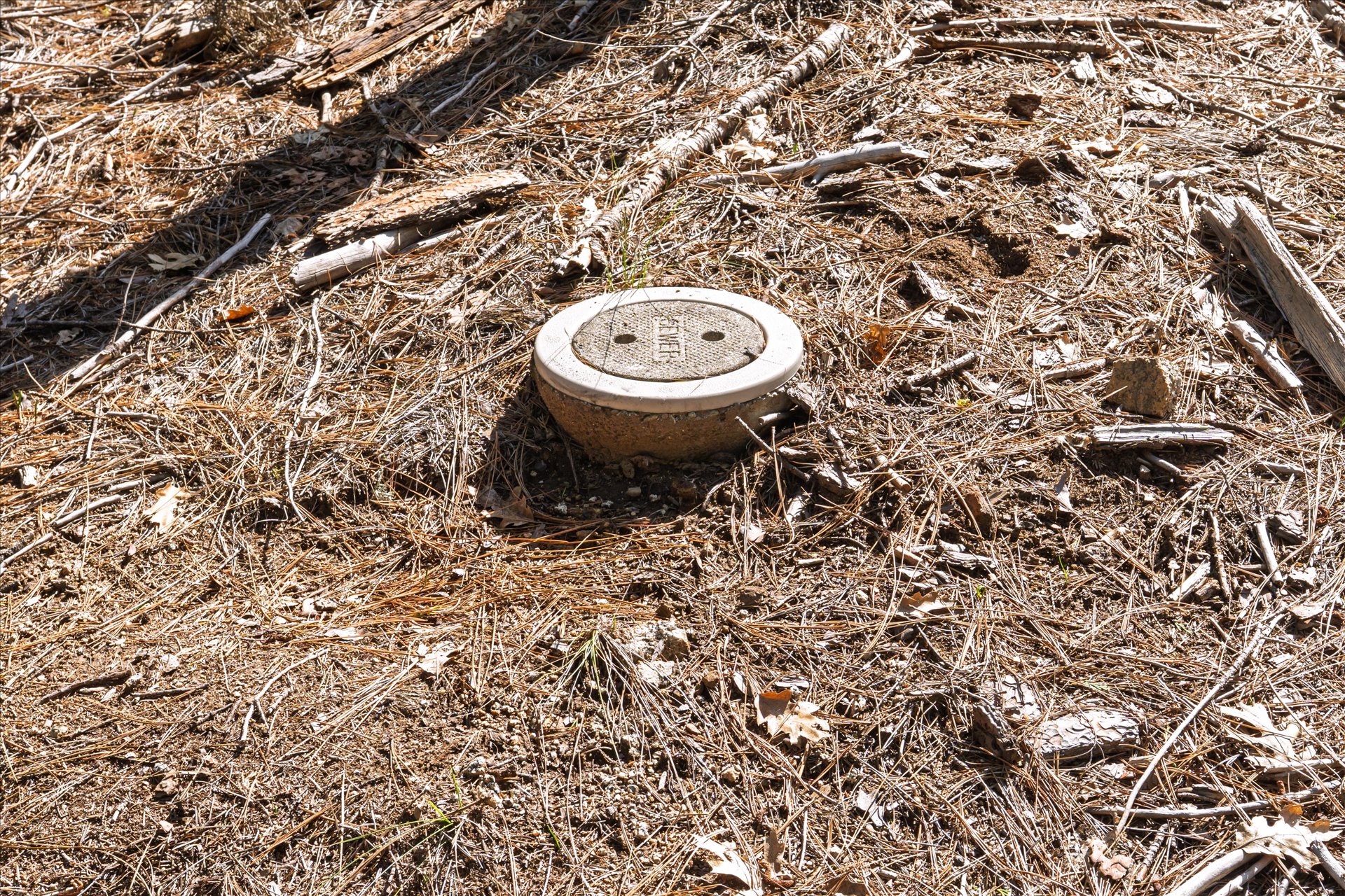 0 Koon Hollar Wawona, CA 95389 - Photo 14 of 31 a view of a backyard with a toilet and a tree