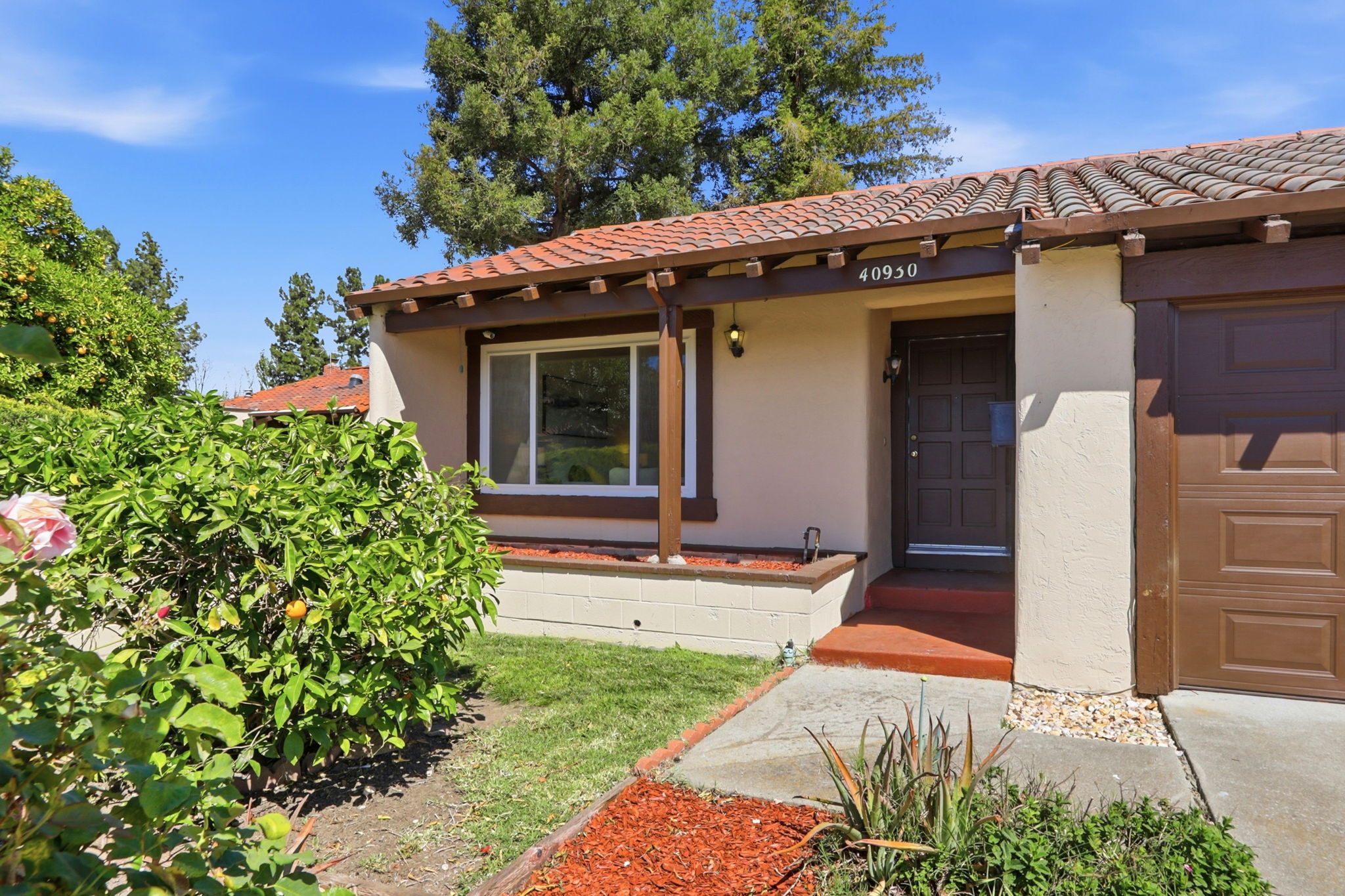 40930 Rioja Court Fremont, CA 94539 - Photo 8 of 56