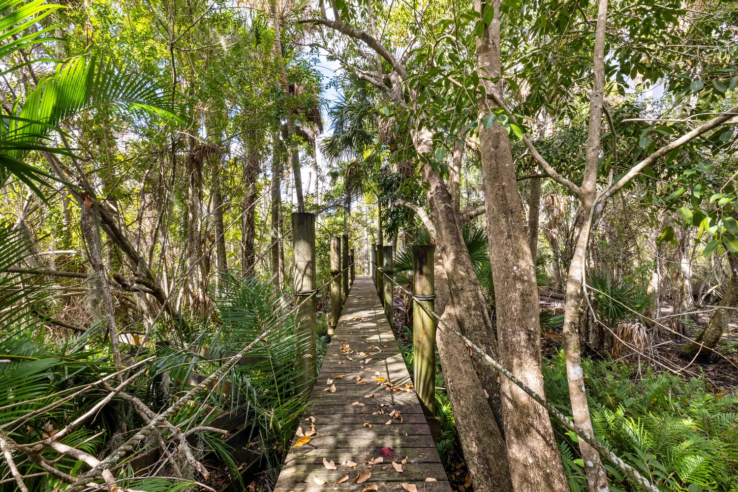 Contact Agent | Southwest Linden Street, Stuart, FL 34997