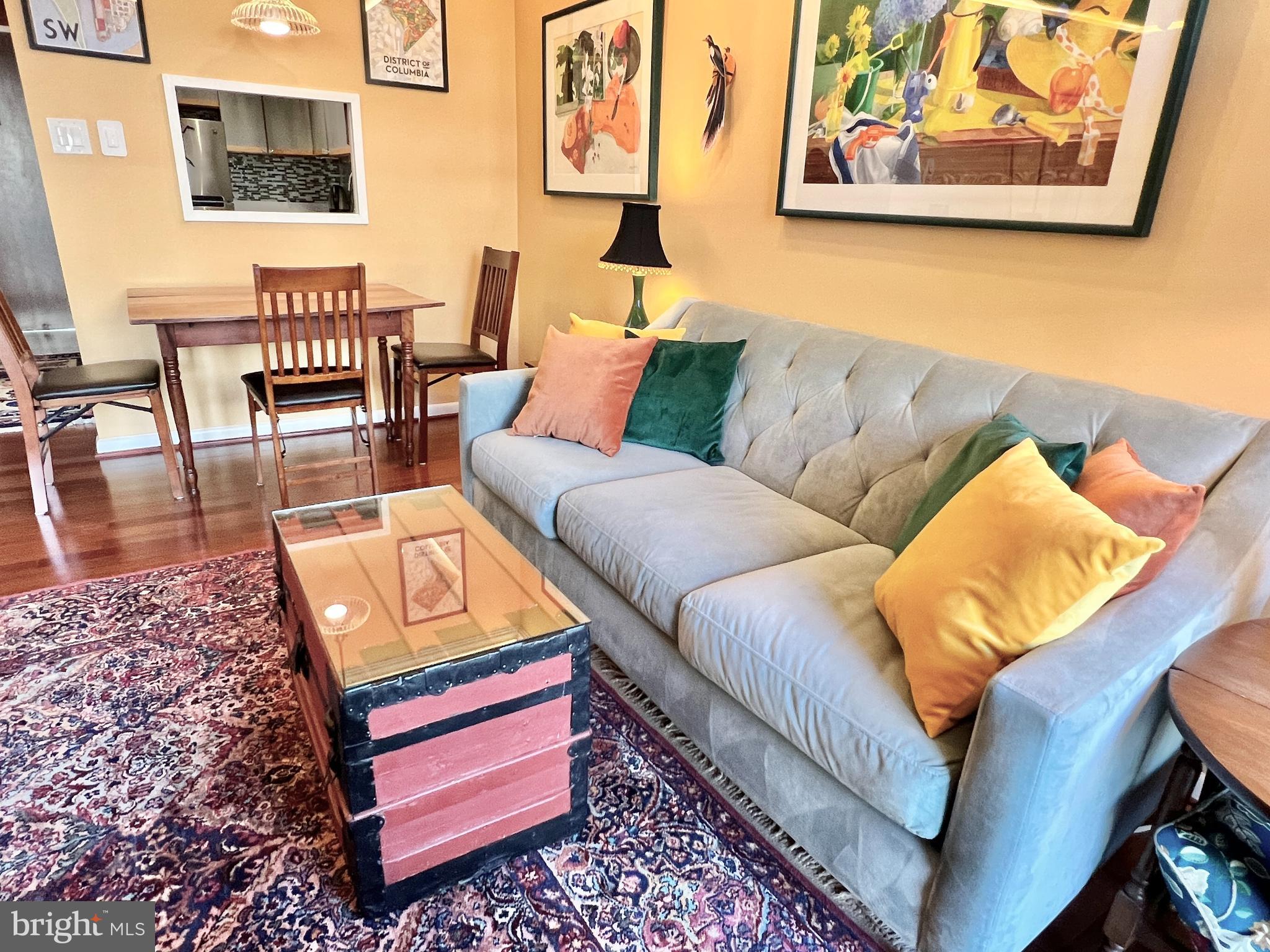 520 N Street Southwest, Unit S112 Washington, DC 20024 - Photo 5 of 45 a living room with furniture and a rug