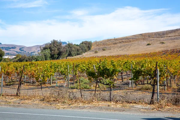 $4,200 | 8 Glenwood Drive, Napa, CA 94559