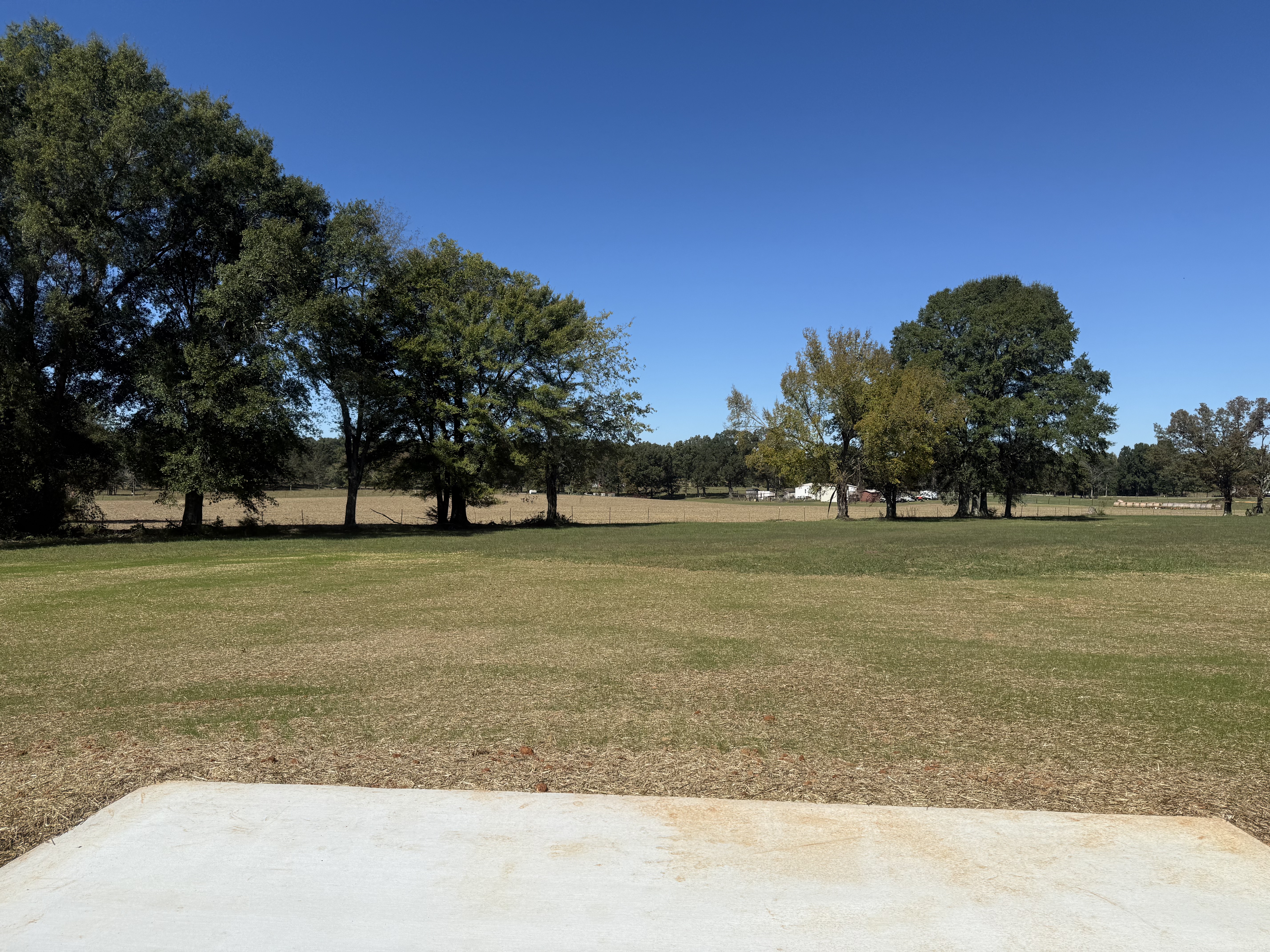 563 Paynes Church Road Estill Springs, TN 37330 - Photo 28 of 31 a view of a yard