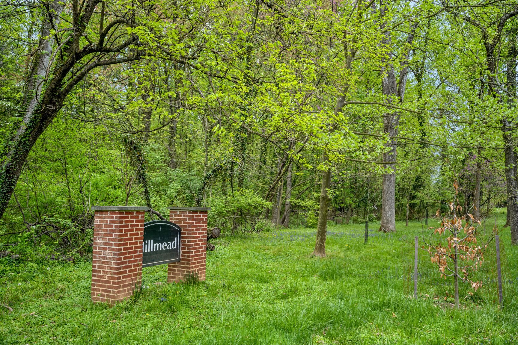 8805 Ridge Road Bethesda, MD 20817 - Photo 34 of 37