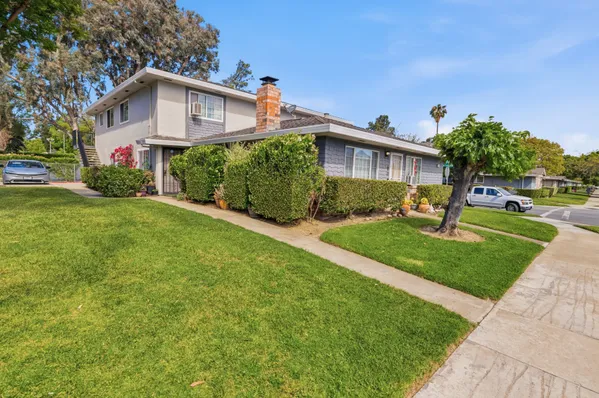 a white house with a small yard and a palm tree