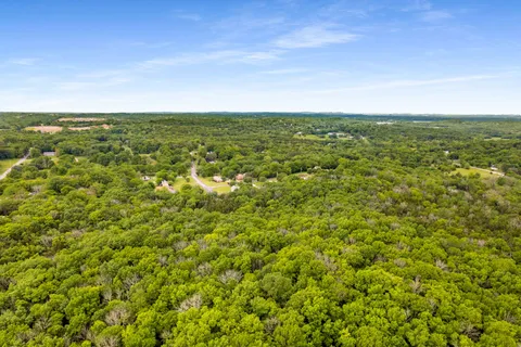a view of a big yard with lots of bushes
