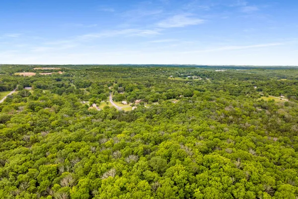 a view of a big yard with lots of bushes