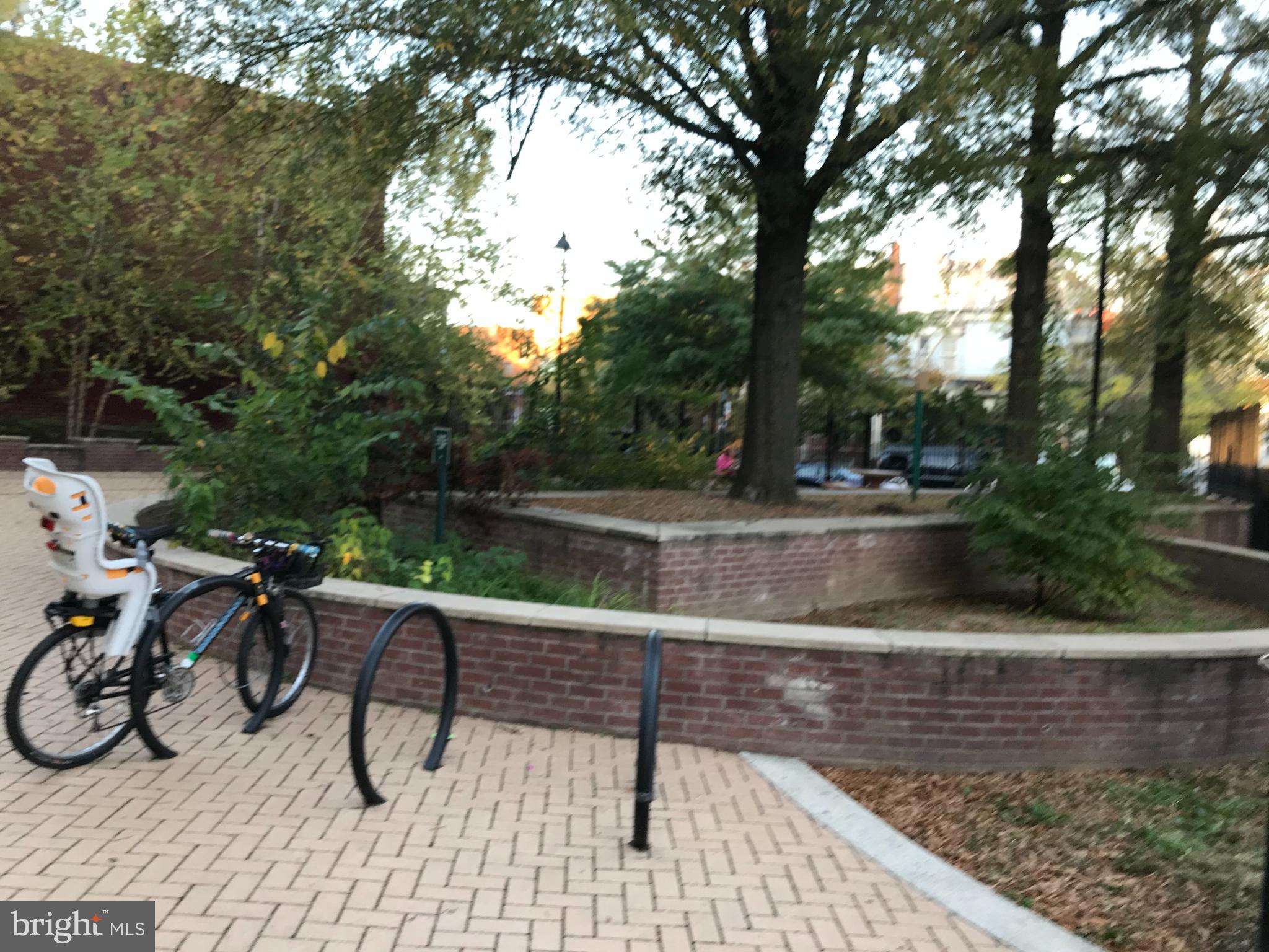 1033 Park Road Northwest, Unit 6 Washington, DC 20010 - Photo 34 of 38 a view of a yard with plants and trees