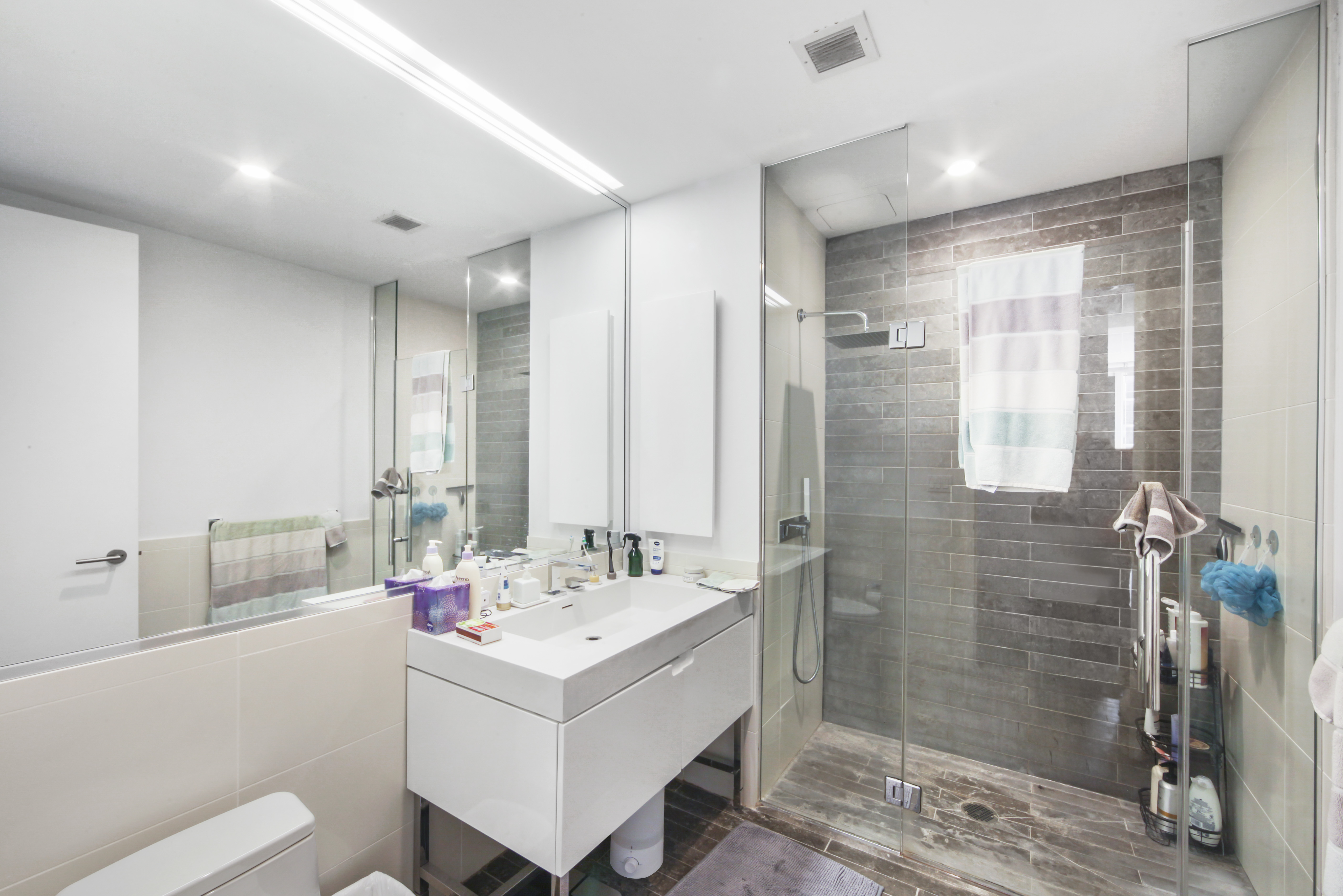 388 Bridge Street, Unit 32G Brooklyn, NY 11201 - Photo 6 of 15 a bathroom with a shower sink and mirror