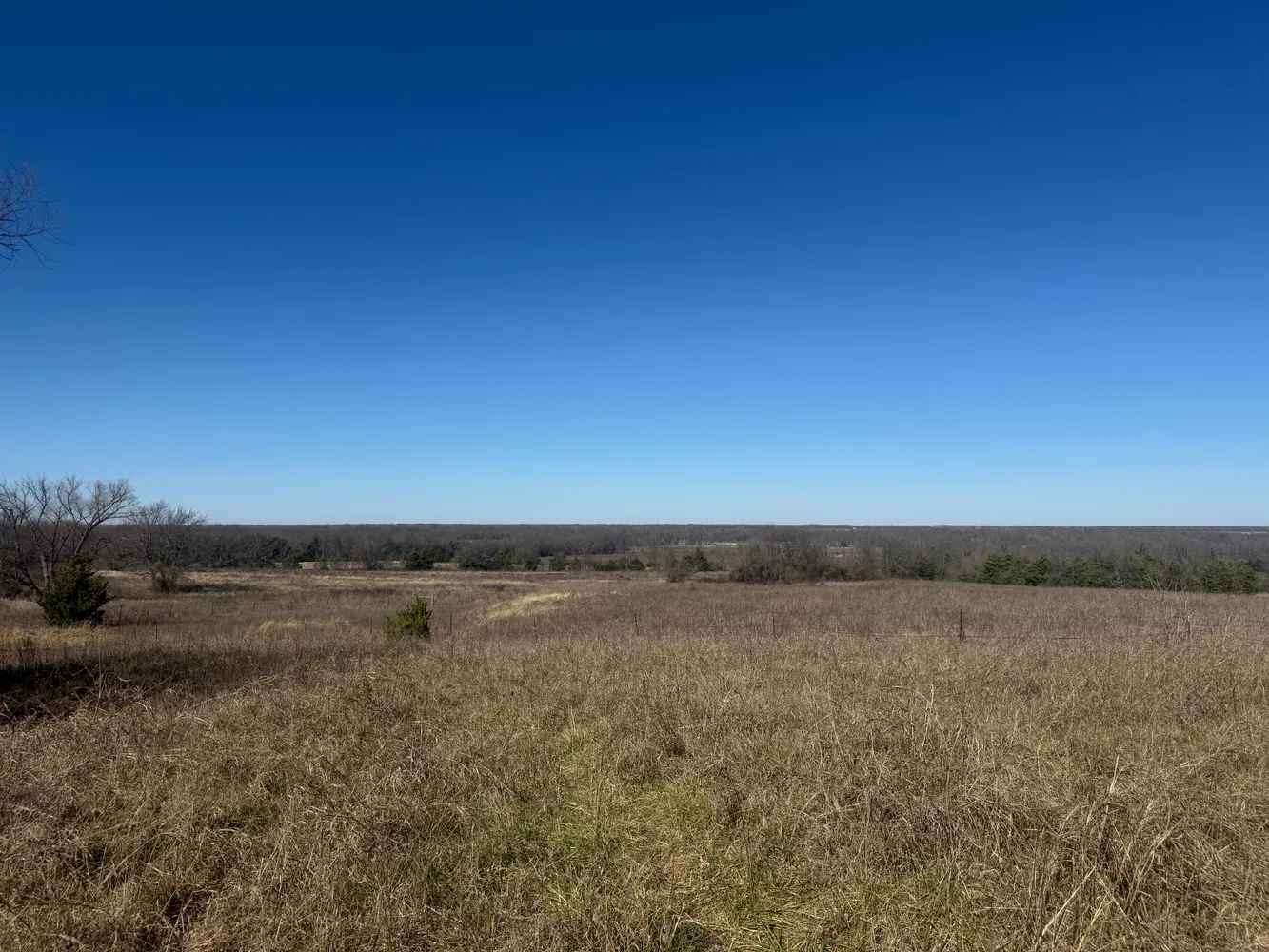 $420,000 | 2019 Farm To Market Road 2949, Cooper, TX 75432
