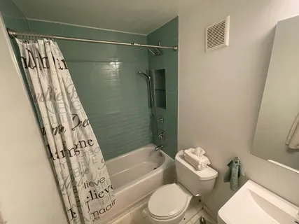 a bathroom with a toilet and a bathtub