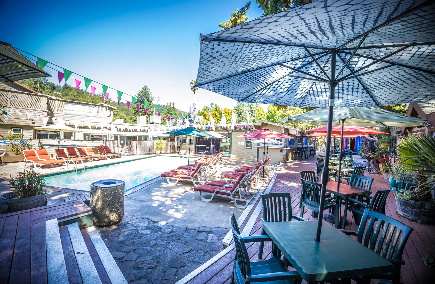 a wooden floor with some trees in the background