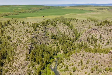 $395,000 | 376 North 4350th St Street East, St. Anthony, ID 83445