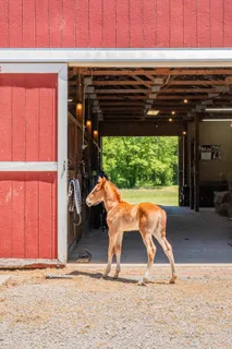 $1,290,000 | 332 John Shaw Road, Lewisburg, TN 37091