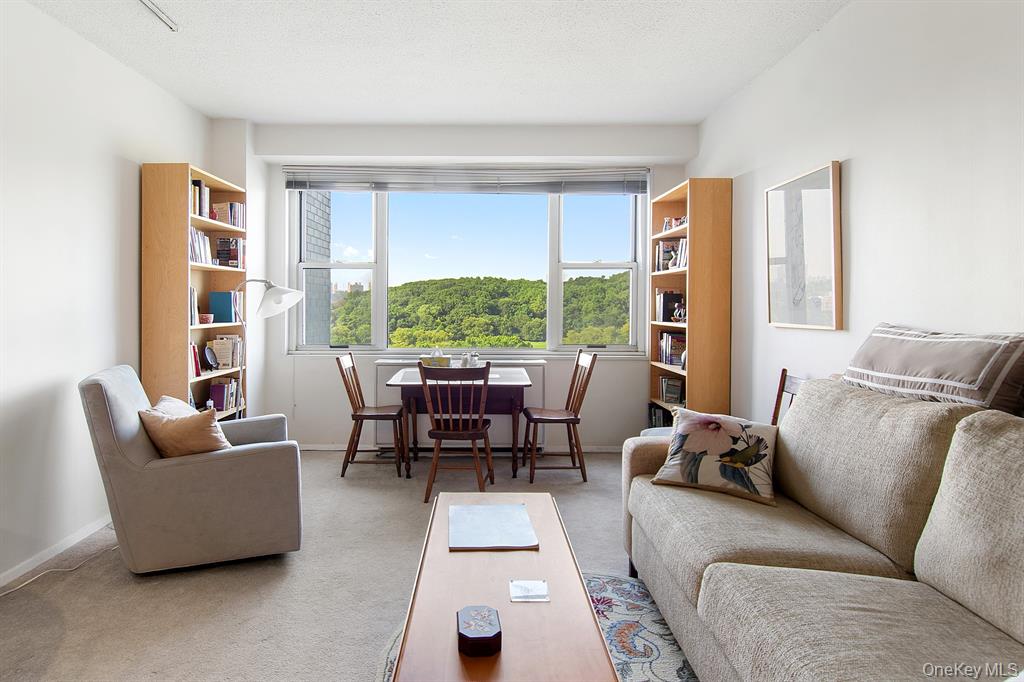 2400 Johnson Avenue, Unit 3B Bronx, NY 10463 - Photo 6 of 28 a living room with furniture and a large window