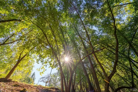 $125,000 | 10608 Canyon Road, Forestville, CA 95436