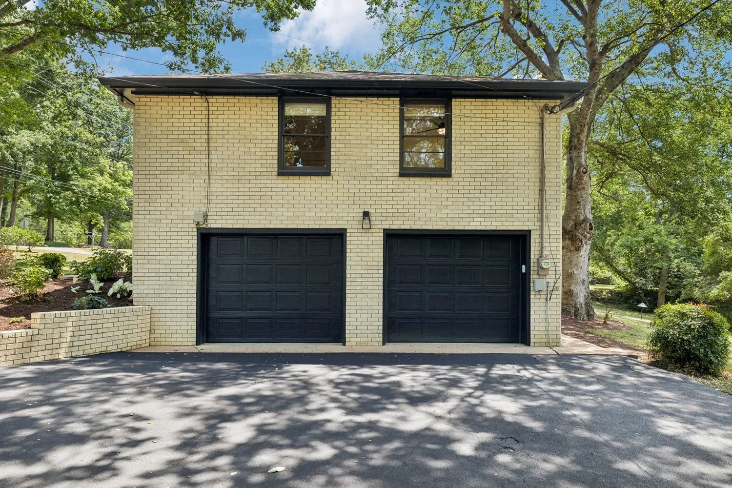 a view of a trees with a yard