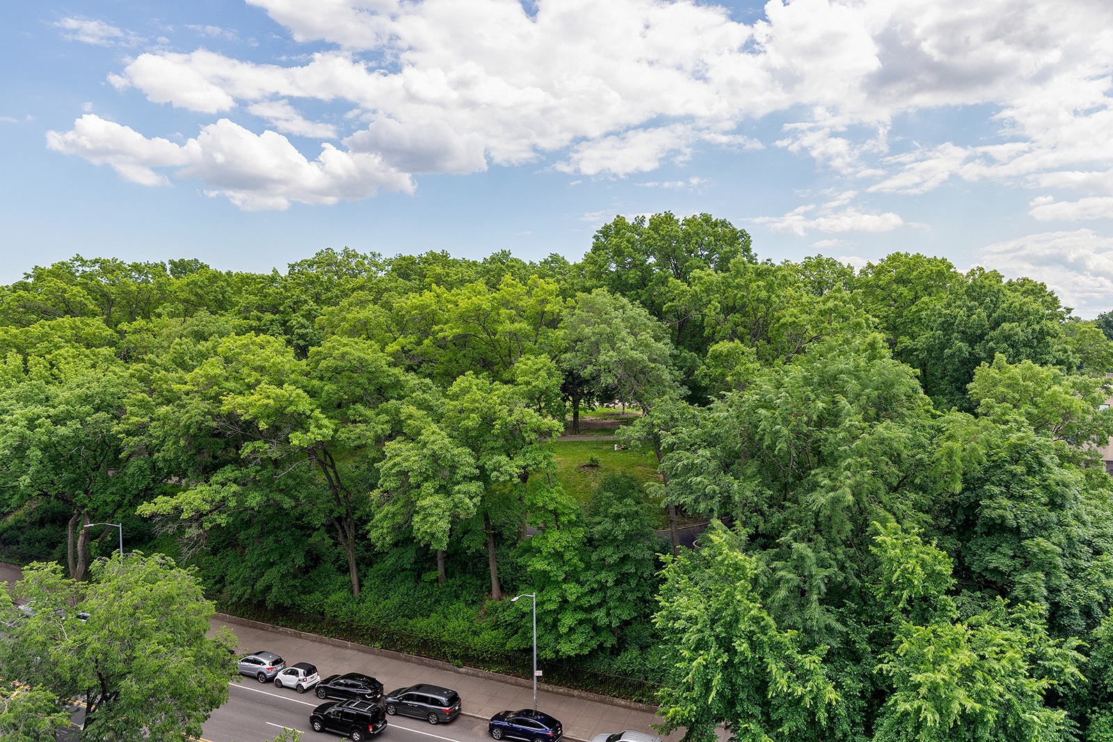 41 Eastern Parkway, Unit 8B Brooklyn, NY 11238 - Photo 8 of 13 a view of a city