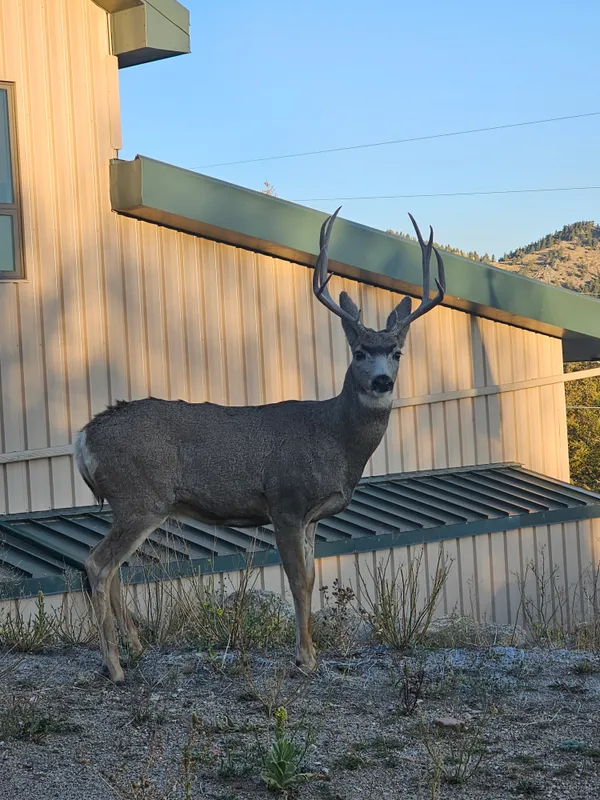 $2,100,000 | 323 Overlook Lane, Boulder, CO 80302
