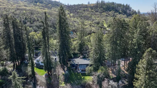 a backyard of a house with lots of trees