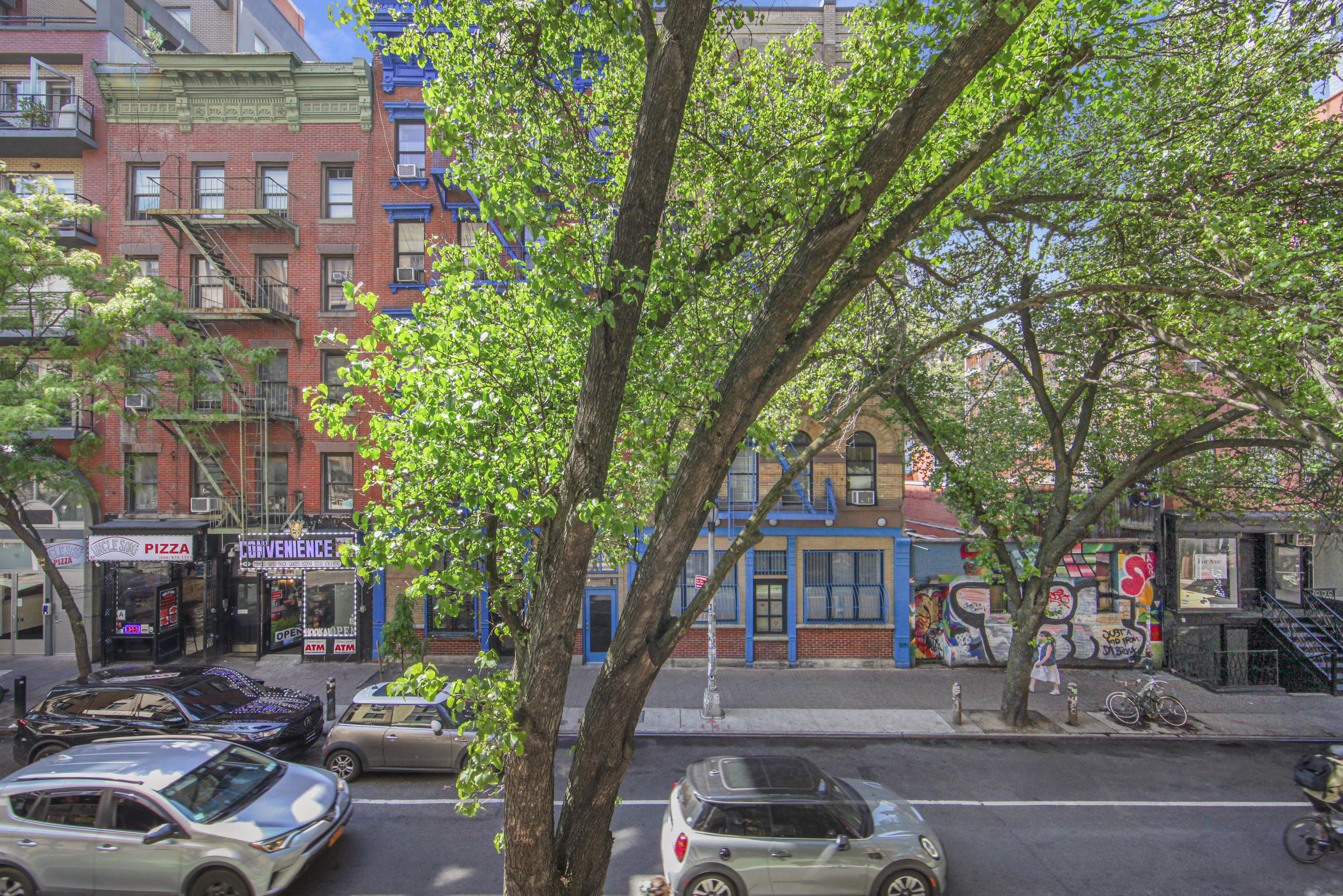 14 Clinton Street, Unit 2A Manhattan, NY 10002 - Photo 11 of 16