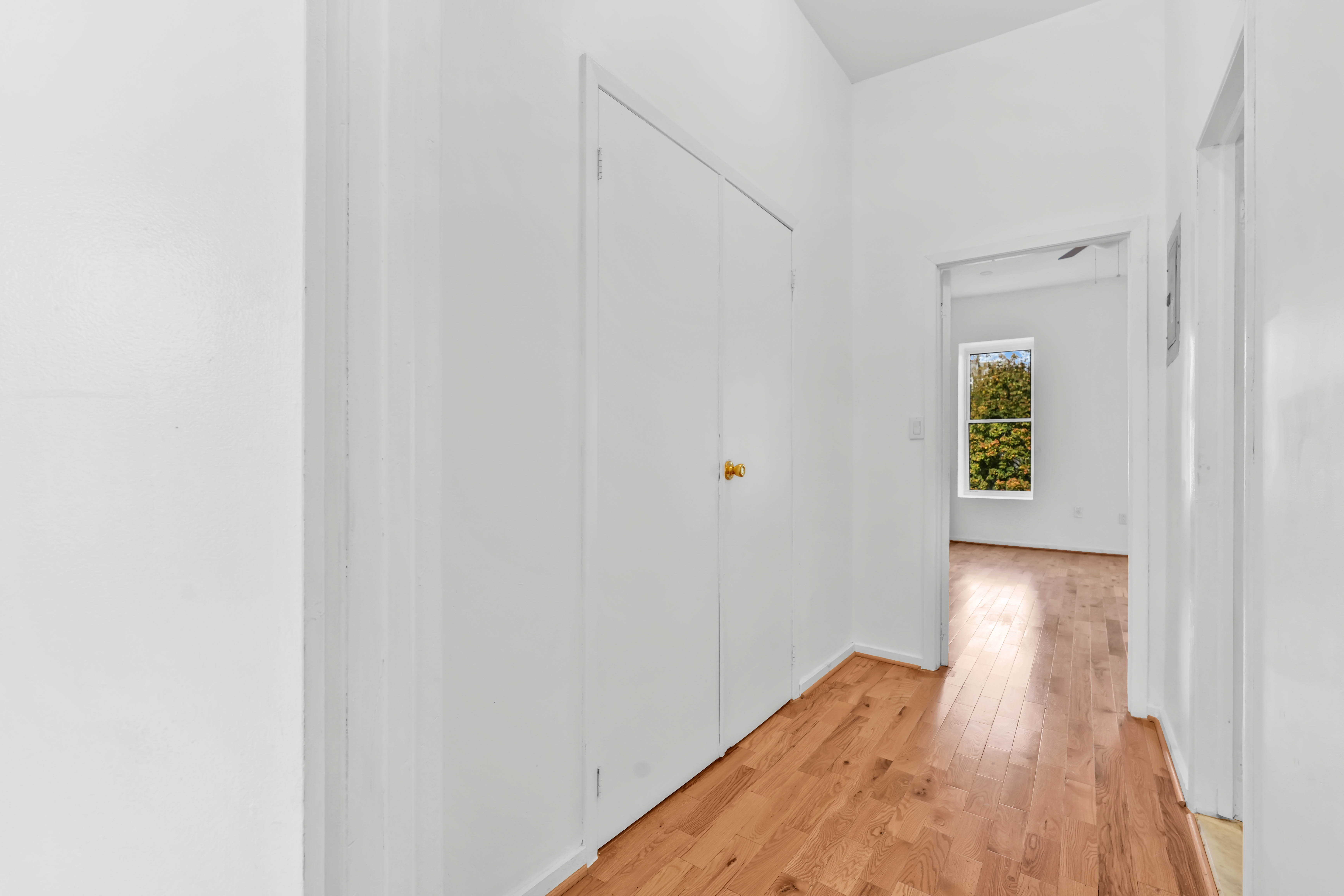 238 Vernon Avenue, Unit 2 Brooklyn, NY 11206 - Photo 17 of 21 a view of a hallway with wooden floor