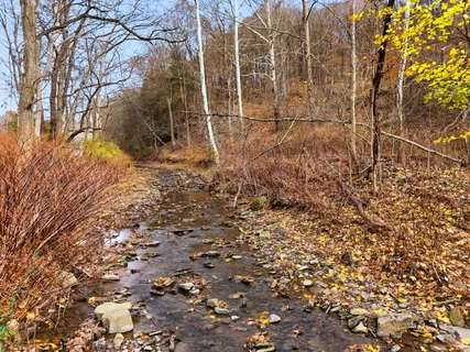 a view of city and mountain