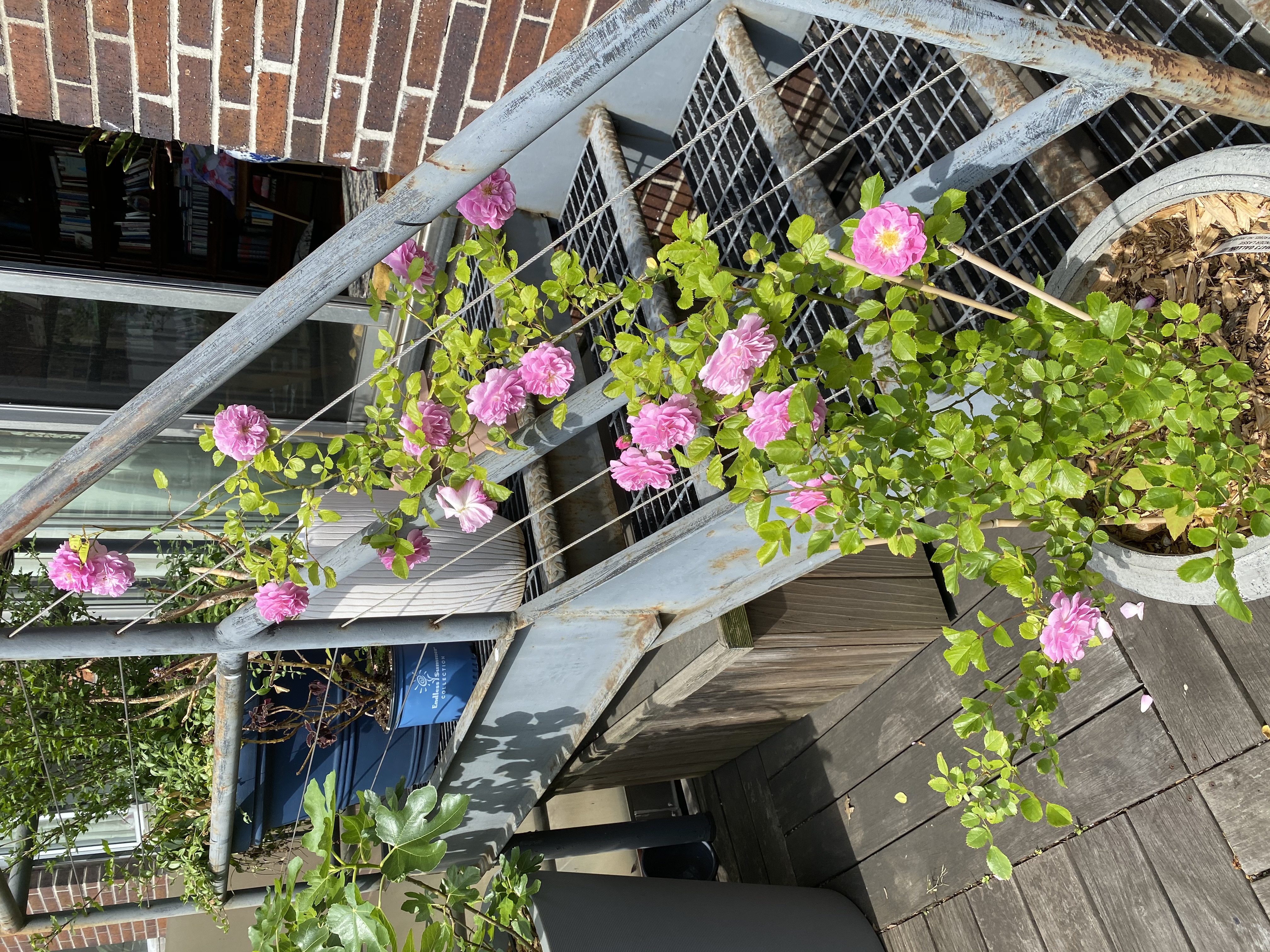 360 East 88th Street, Unit 4E Manhattan, NY 10128 - Photo 17 of 28