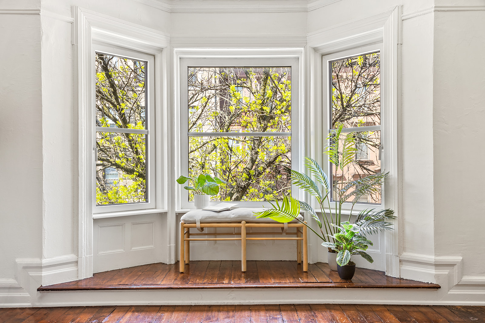 73 Downing Street Brooklyn, NY 11238 - Photo 5 of 16