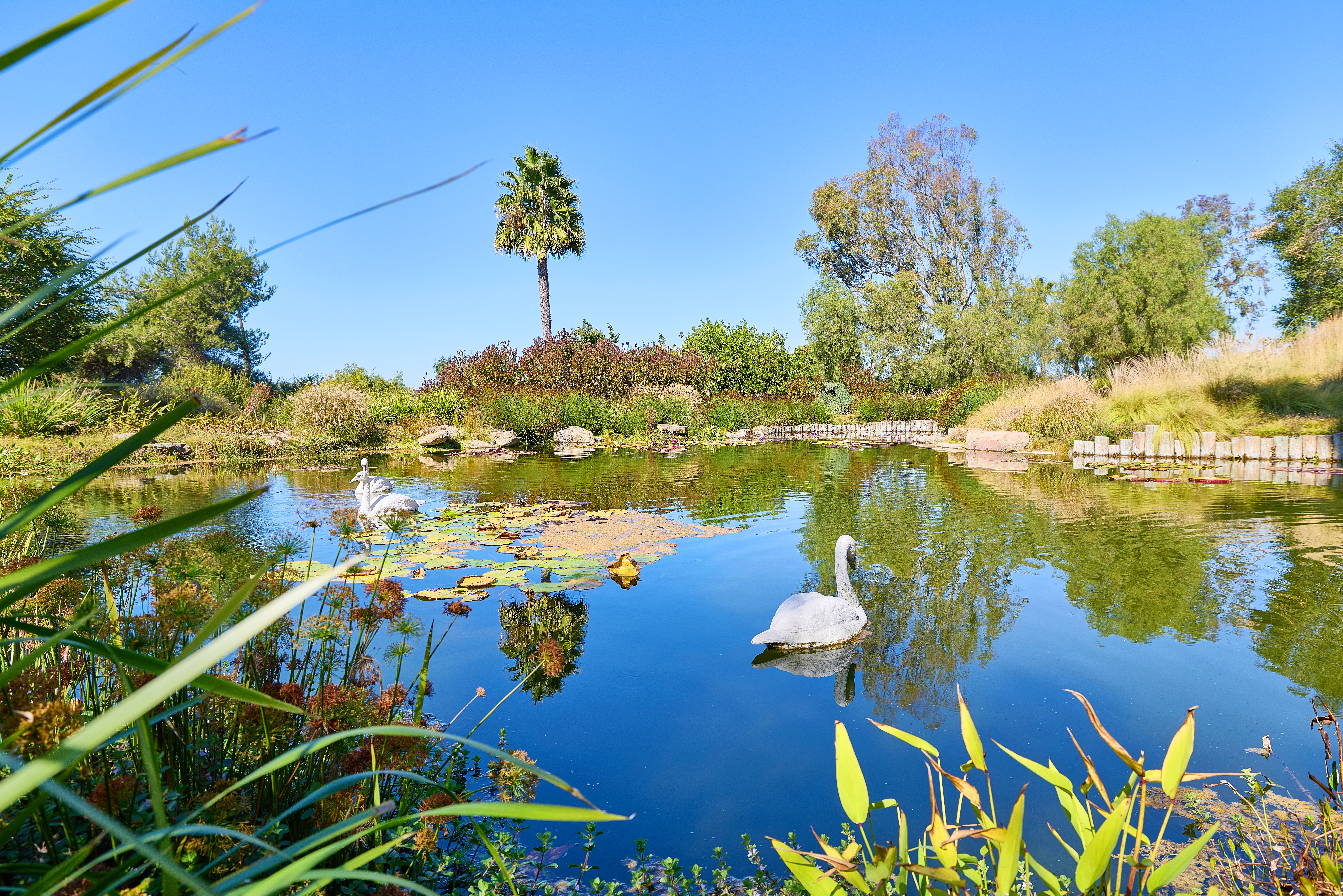 Lago Lindo Rancho Santa Fe, CA 92067 - Photo 16 of 36
