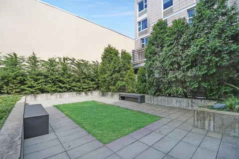 a view of a backyard