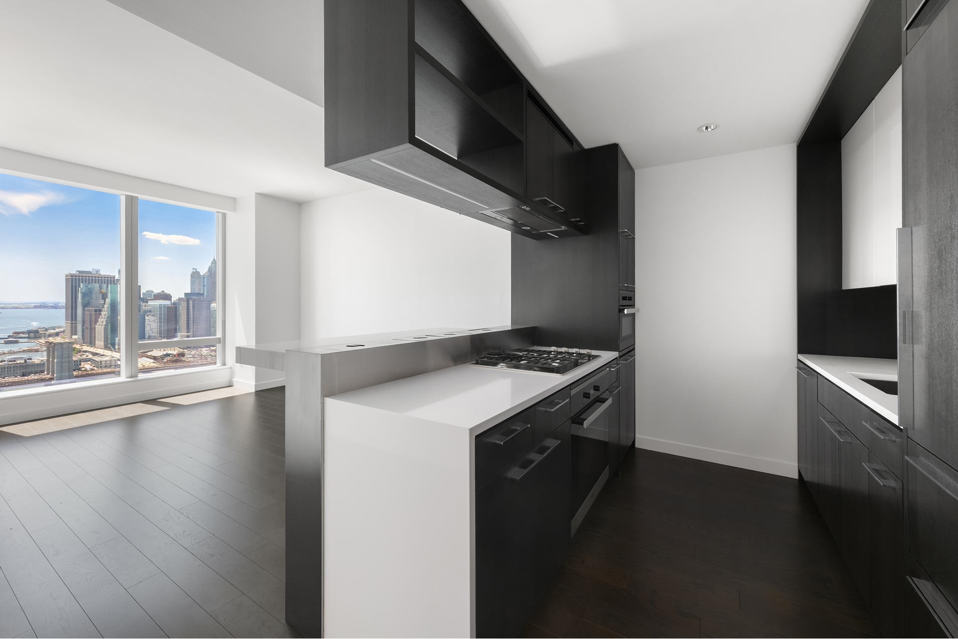 252 South Street, Unit 45B Manhattan, NY 10002 - Photo 4 of 50