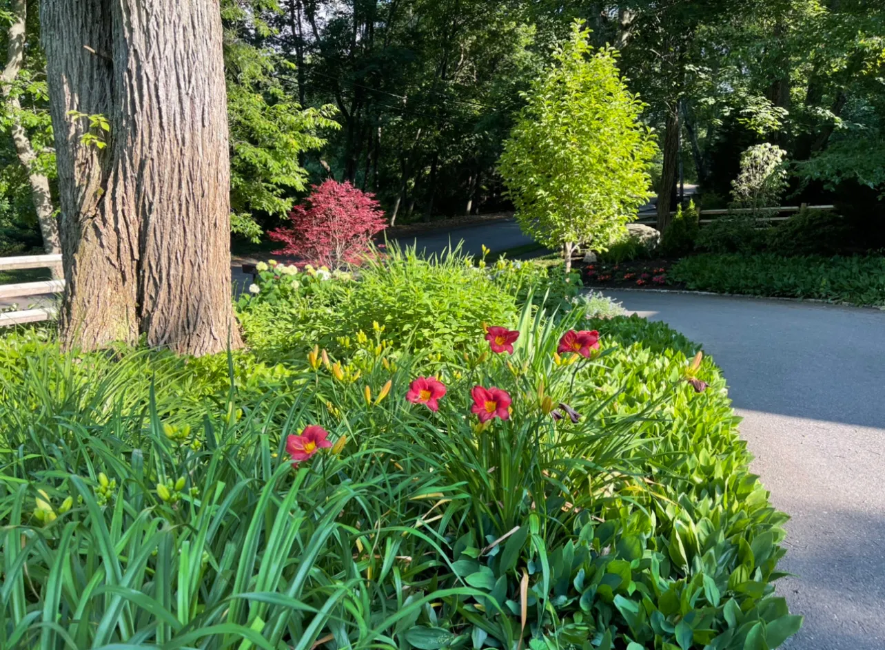 Contact Agent | 28 Tufts Road, Lexington, MA 02421