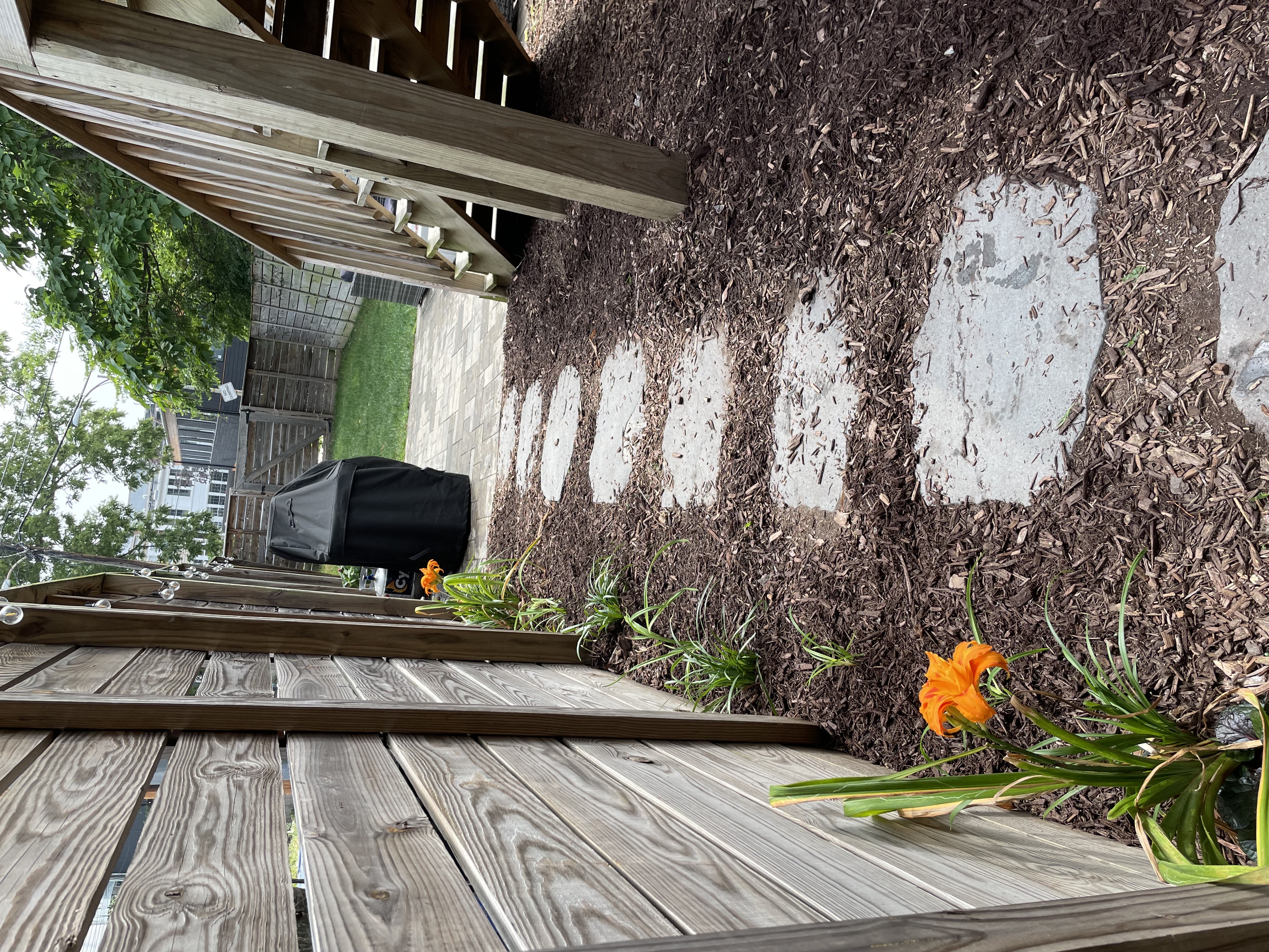 3123 Warder Street Northwest, Unit 1 Washington, DC 20010 - Photo 20 of 24 a view of yard with patio