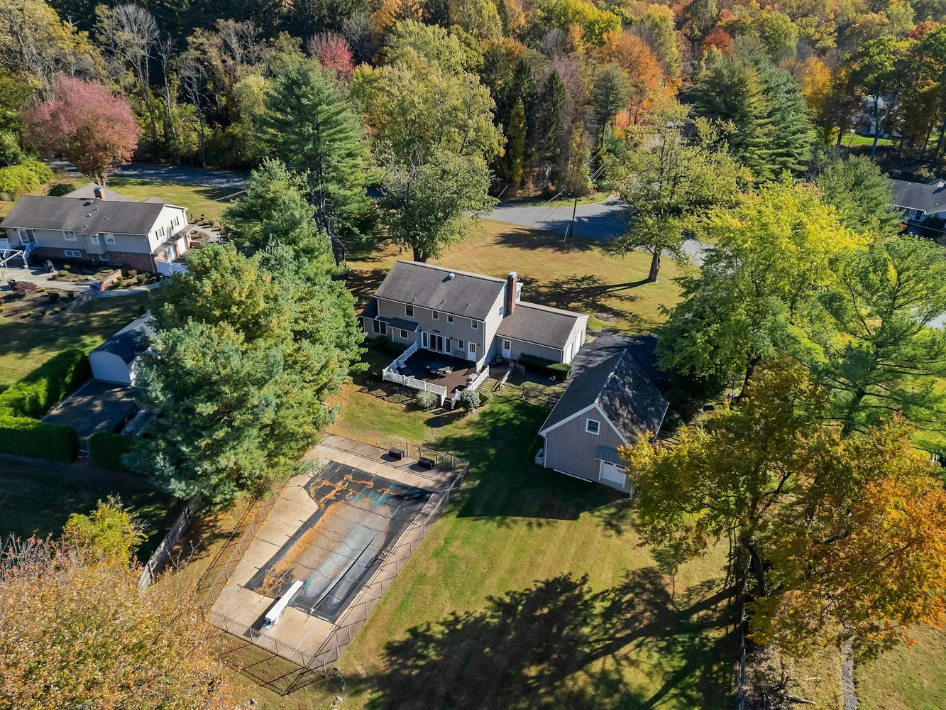 a view of a yard with trees