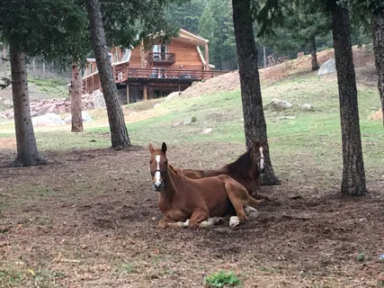 $2,845,000 | 60 North County Highway, Sedalia, CO 80135