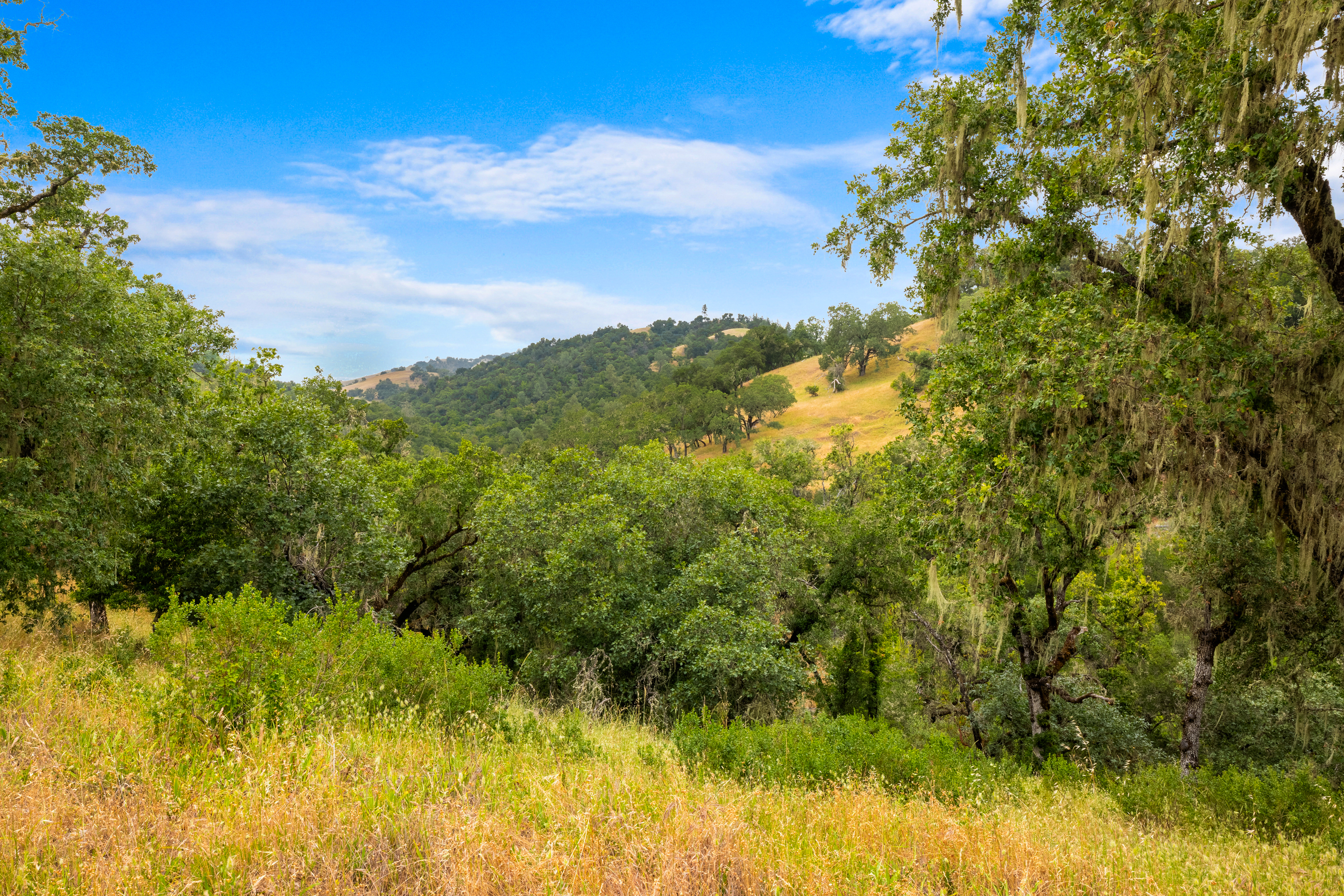 23655 Vineyard Road Geyserville, CA 95441 - Photo 22 of 25