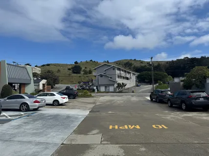 a living room with furniture a window and potted plant