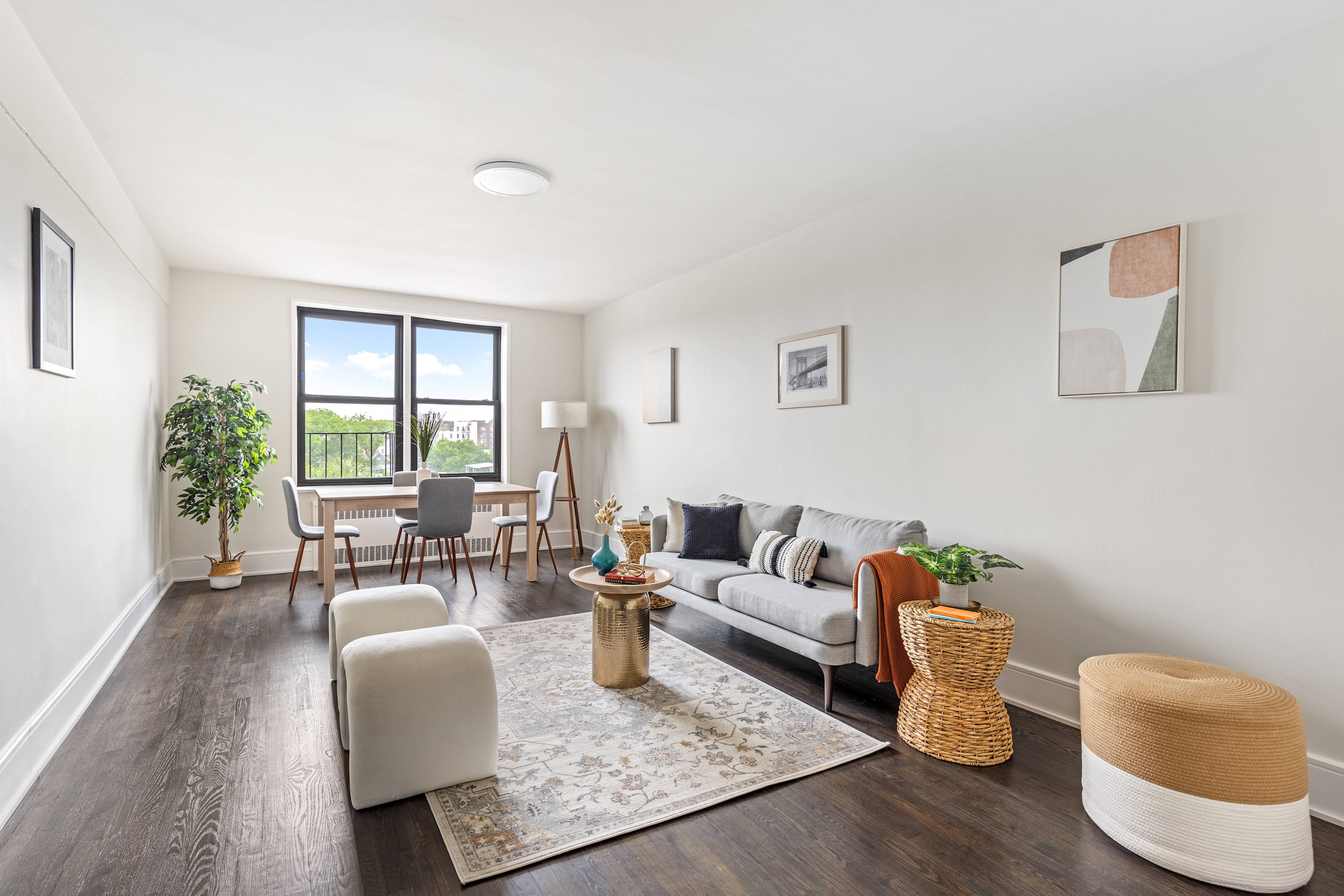 a living room with furniture and a potted plant