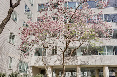 $2,390,000 | 200 East 66th Street, Unit D201 | Lenox Hill